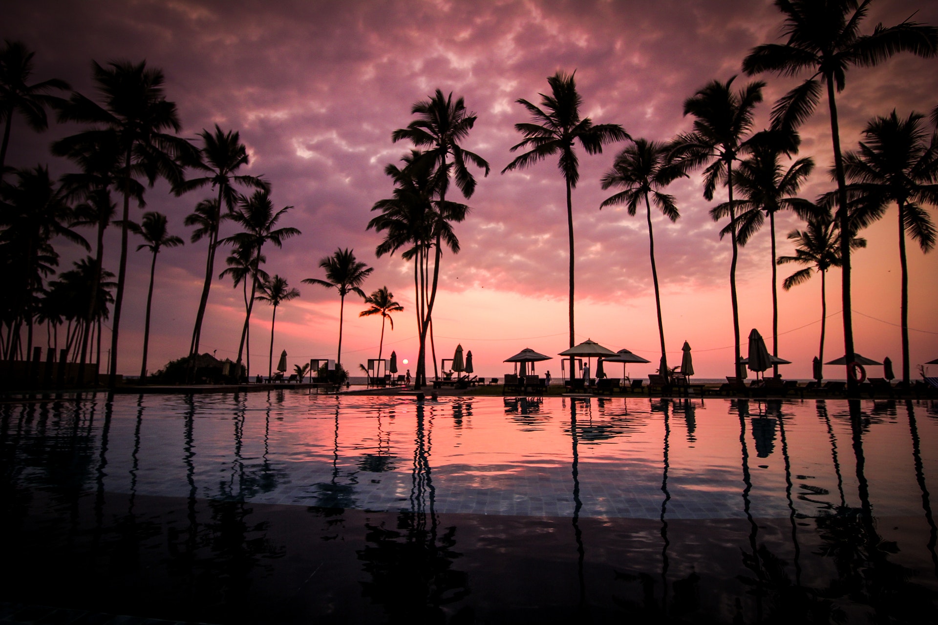 Beach and palm trees in hawaii.